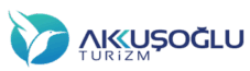 Akkuşoğlu Turizm – Minibüs Kiralama – Havalimanı Transfer – Servis Kiralama – 30 Kişilik Minibüs Kiralama